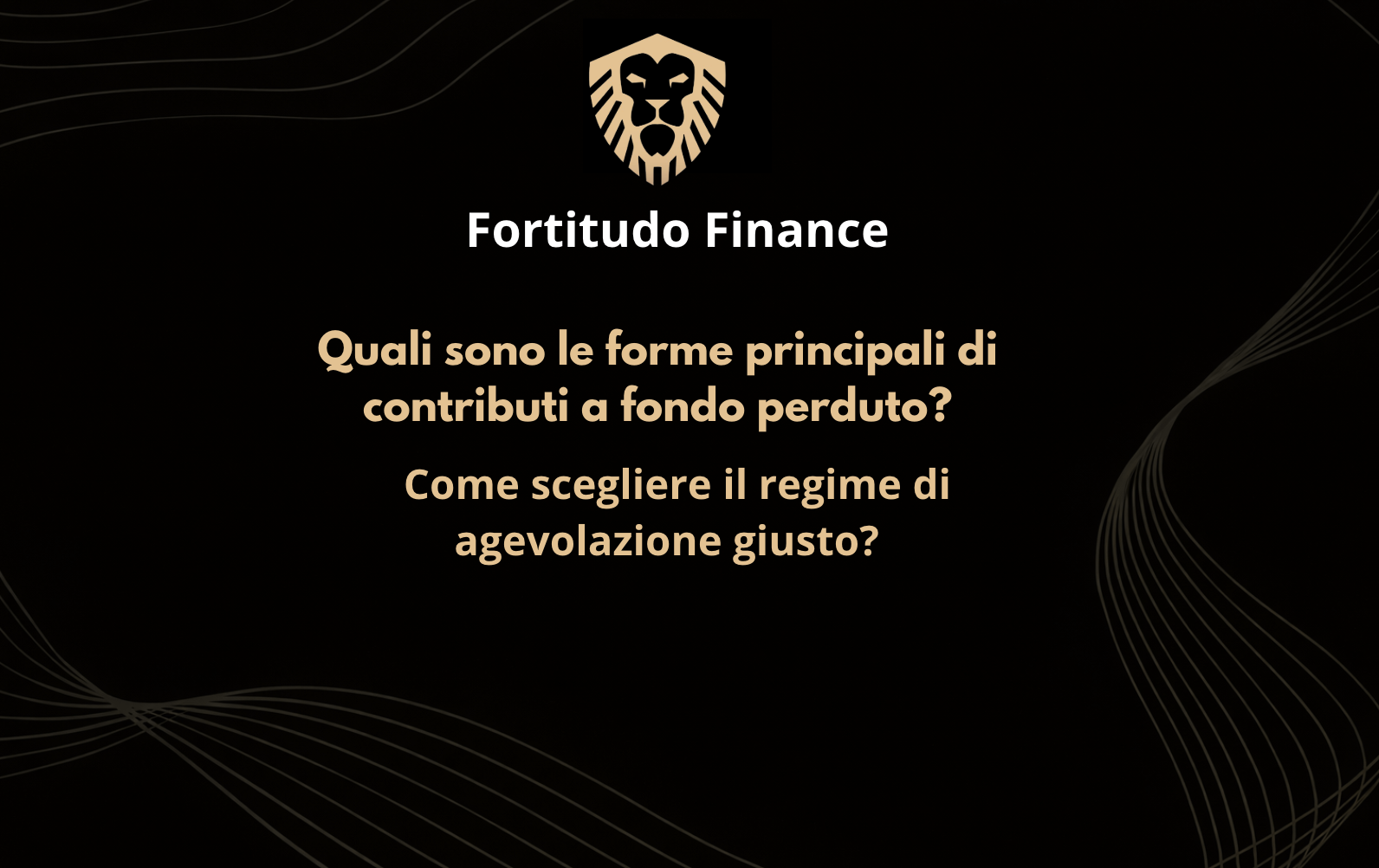 Screenshot 2026-02-20 alle 10.57.22 Fortitudo Finance | Finanza Agevolata a Brescia