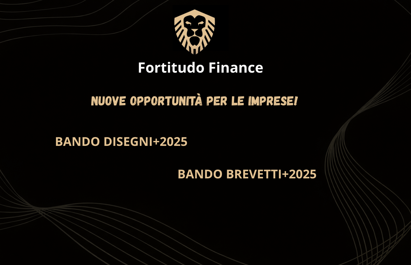 Screenshot 2026-02-20 alle 11.45.38 Fortitudo Finance | Finanza Agevolata a Brescia